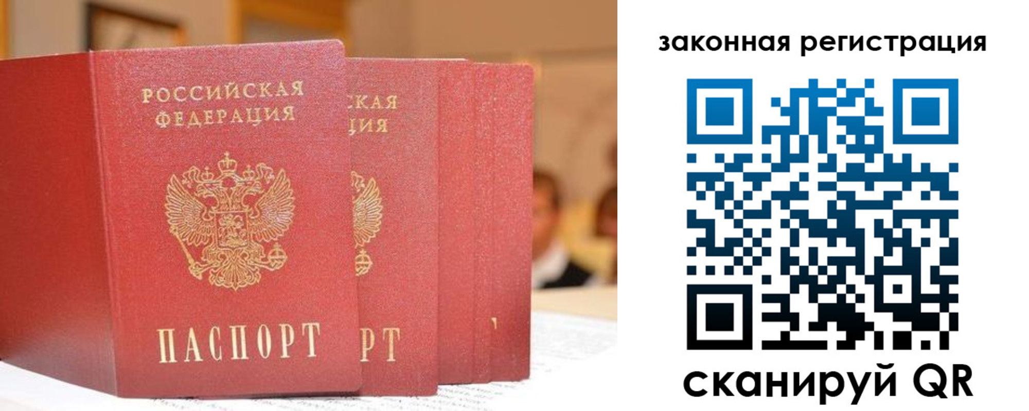 прописка поиск в Карабаново